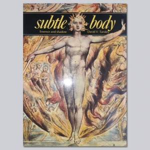 Subtle Body: Essence and Shadow - by David V Tansley